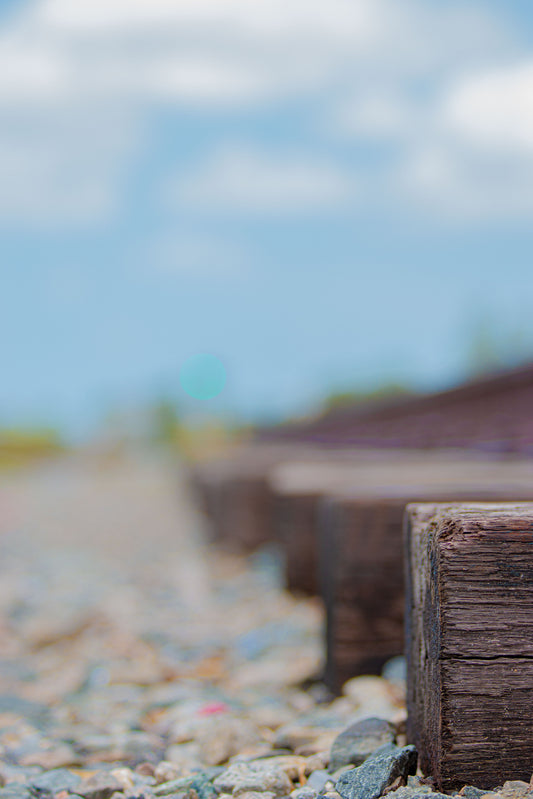 Wood perspective